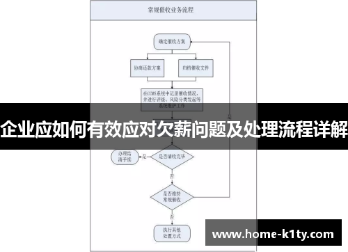 企业应如何有效应对欠薪问题及处理流程详解
