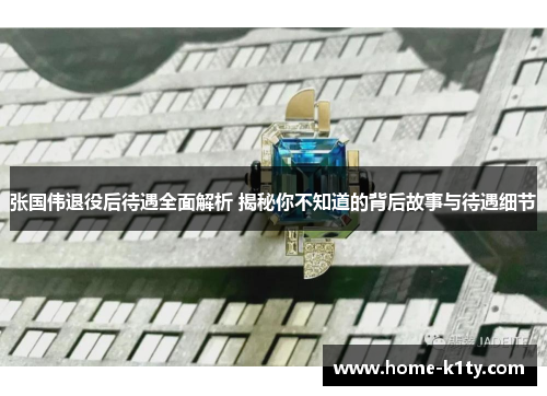 张国伟退役后待遇全面解析 揭秘你不知道的背后故事与待遇细节