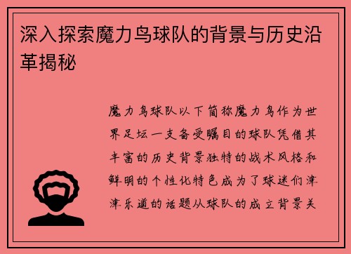 深入探索魔力鸟球队的背景与历史沿革揭秘