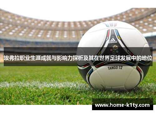 埃弗拉职业生涯成就与影响力探析及其在世界足球发展中的地位