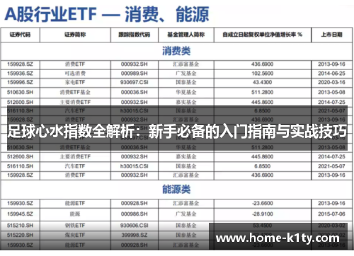 足球心水指数全解析：新手必备的入门指南与实战技巧